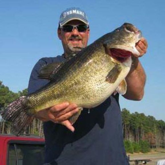 Meet your Posher, Thomas - Picture 1 of 1